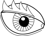 Eye